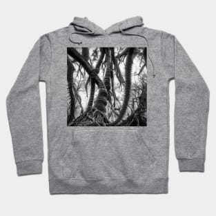 End Of Days No. 260 Hoodie